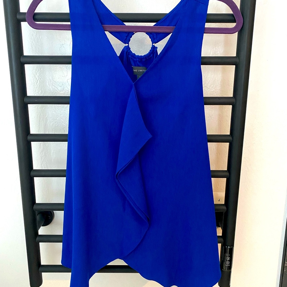 The Limited Size Small Blue Sleeveless Blouse